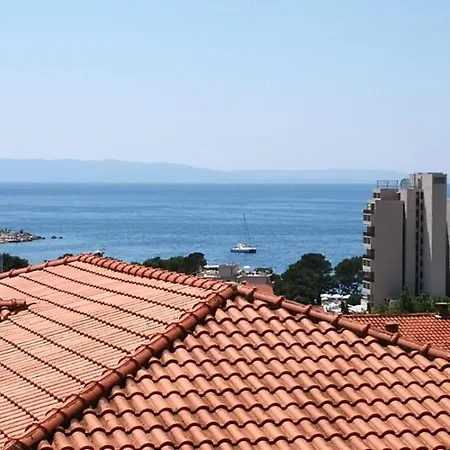 12 Brigita * Makarska